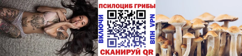 Галлюциногенные грибы Cubensis  Купить где  Катав-Ивановск 